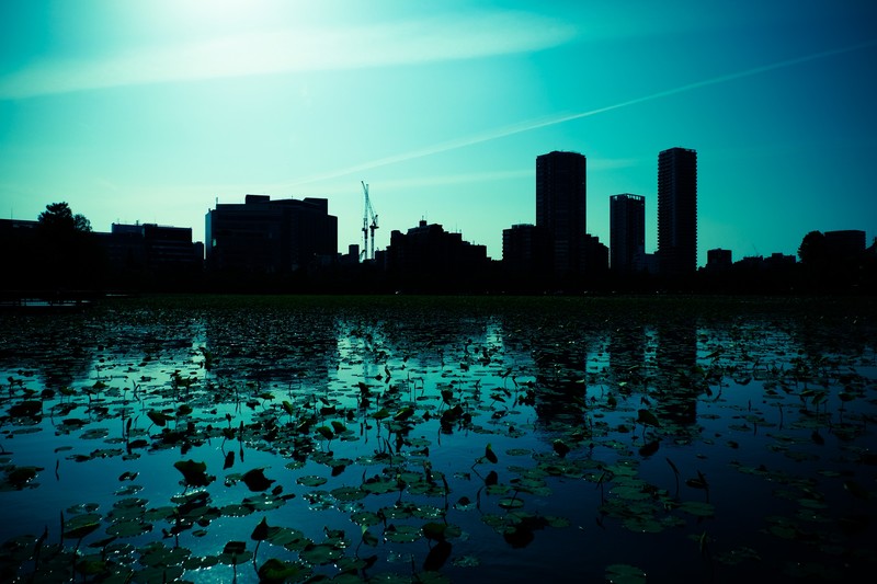マンション