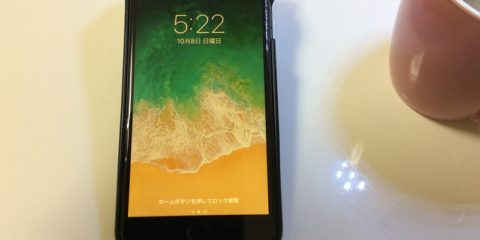 iPhone 8 Plus 有楽町ビックカメラ ドコモから au へ乗り換え