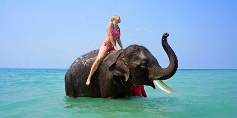 タイ旅行