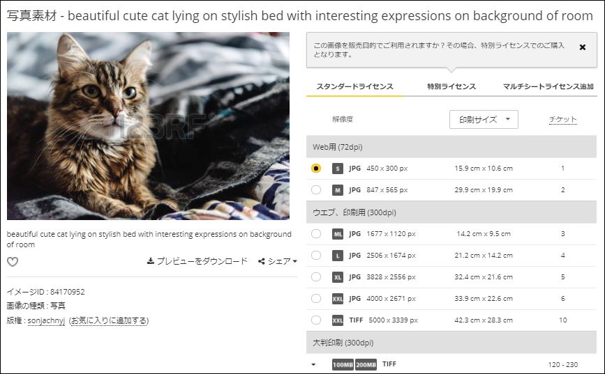 123RFで、1チケットで買える画像
