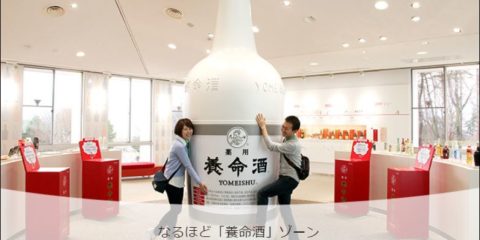 「養命酒製造駒ヶ根工場見学コース」で感動した点と残念な点のまとめ