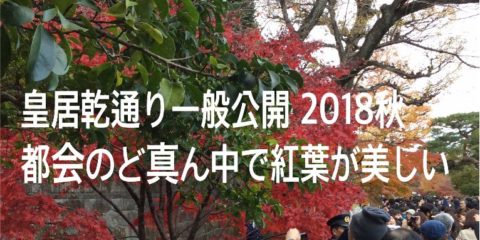 皇居乾通り一般公開 2018秋 都会のど真ん中で紅葉が美しい!