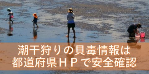 【注意】潮干狩りの貝毒情報を都道府県HPで安全確認してから出かけよう! 消費者庁が貝毒の危険性を呼びかけ