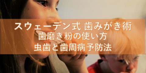 スウェーデン式 歯みがき術 歯磨き粉の使い方、虫歯と歯周病予防法 僕の歯みがき方法と真逆なことに驚き