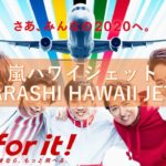嵐ハワイジェット「ARASHI HAWAII JET」 どんな飛行機、どこでいつから見れるの？