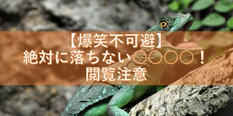 【爆笑不可避】絶対に落ちない○○○○○! 仕事中・電車での閲覧注意!