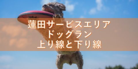 蓮田サービスエリアのドッグランの上り線と下り線について調査!