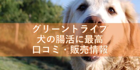 グリーントライプが犬の腸活に最高!口コミや販売情報はこちら!